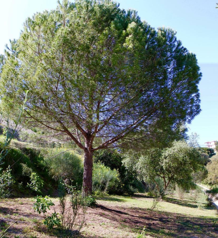 La Coulina Βίλα Νίκαια Εξωτερικό φωτογραφία